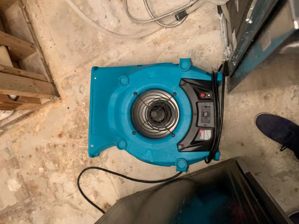Air mover drying equipment for Mold Remediation & Removal in Northfield